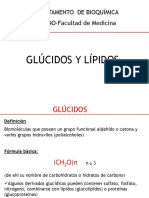 Teor 4 Glucidos y Lipidos