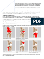 RODILLA