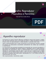 Aparelho Reprodutor Aula