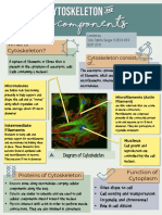 Cytoskeleton and The Components