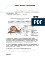 Temas Que Faltan de Zoonosis