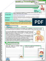 El Sistema Respiratorio