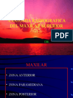 Anatomia Maxilares