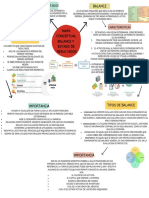 Mapa Conceptual Balance y Estado de Resultado