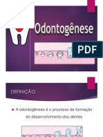 Aula - Odontogenese