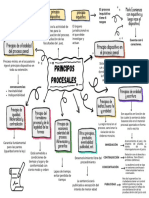 Principios Procesales - Chumbe