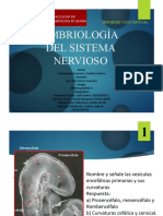 Informe 11 Embriologia Del Sistema Nervioso