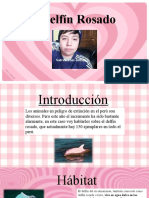 Precentacion Sobre El Delfin Rosado