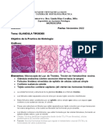 Practica Sistema Endocrino 2023