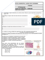 Avaliação Ciencias I Unidade IV A E B