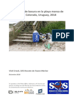 Informe Proyecto Plasticos SOS - Final2.1