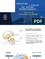 Ayudantia Craneofacial