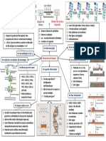 Biomol 6 (Parte 2) Mecanismos de Reparo