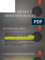 De Los Bienes y Derechos Reales