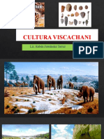 Cultura Viscachani