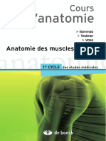 Récap Muscles