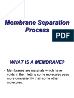 Membrane 1