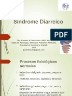 4) Sindrome Diarrea