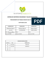 SG Pts Sso S.A 06 Izaje de Cargas