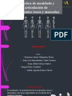 Practica de Modelado y Articulación