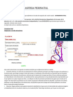 4 Asfixia Perinatal Listp