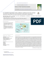 Co-Metabolic Degradation of The Antibiotic Ciprofloxacin by The Enriched Bacterial Consortium XG and Its Bacterial Community Composition