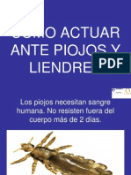 Piojos