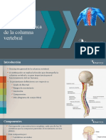 Columna Presentacion