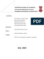 Universidad Nacional de Cajamarca Facultad de Ciencias de La Salud Escuela Académico Profesional de Obstetricia