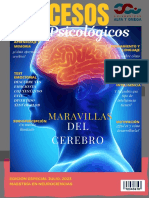 Revista Cientifica