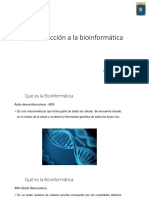 Teoria 1 Introducción A La Bioinformatica