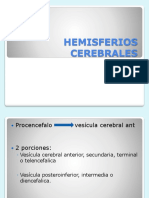 Hemisferios Cerebrales