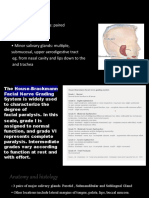 Salivary Glands