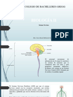 Pres 3 Sistema Nervioso