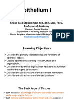 Epithelium I