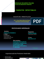 Protozoarios Intestinales