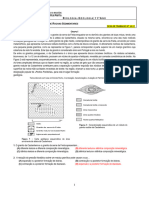 FT Nº14 Etapas Da Formação de Rochas Sedimentares CC