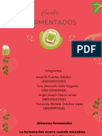 Alimentos Fermentados