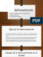 La Deforestación