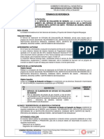 6.TDR Evaluacion de Riesgos Aprobado