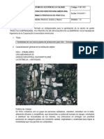 Formato Practicas Facultad de Ingenierã-A Hamilton TR