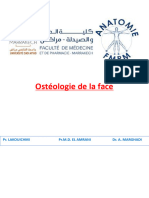 Osteologie de La Face