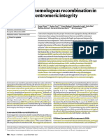 Activation of Homologous Recombination in G1 Preserves Centromeric Integrity