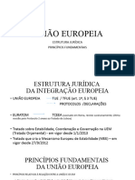 UNIAO EUROPEIA Principios Fundamentais 5