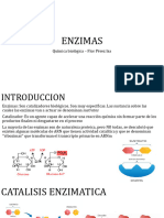 Clase 2 - Enzimas