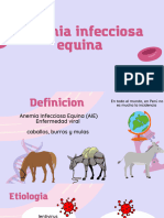 Anemia Infecciosa Equina