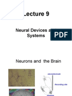 Lecture 9 Neural