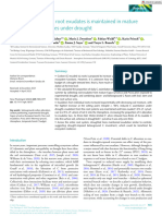 New Phytologist - 2022 - Brunn - Carbon Allocation To Root Exudates Is Maintained in Mature Temperate Tree Species Under