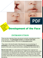 Development of Face