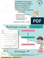 Subgrupo B - RESFRIADO COMÚN, INFLUENZA